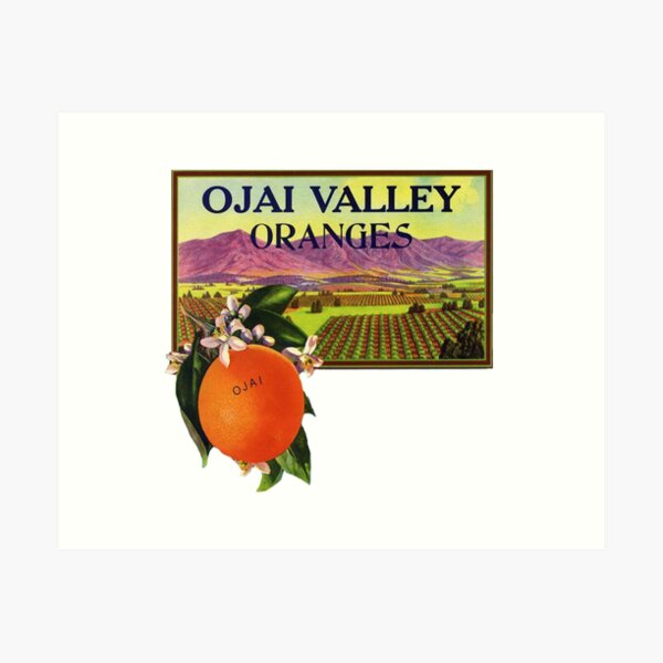 Item preview, Ojai Oranges designed and sold by Guy Wann.