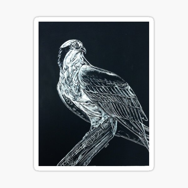 Osprey Sticker