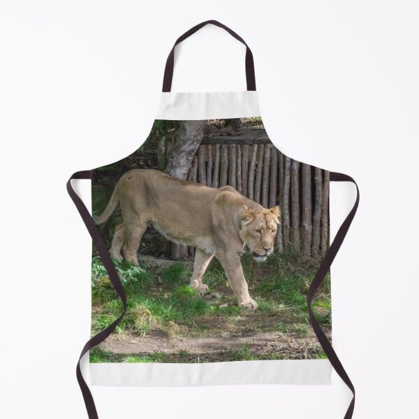 Item preview, Lioness at the zoo designed and sold by TDArtShop.