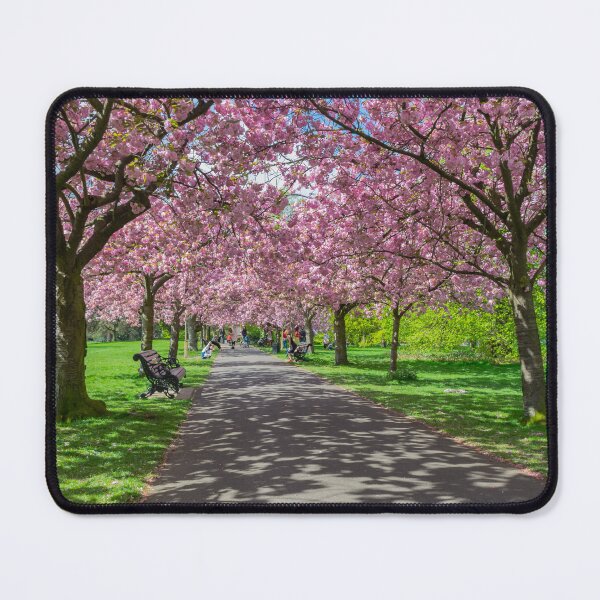 Item preview, Cherry blossom in Greenwich Park in London designed and sold by TDArtShop.