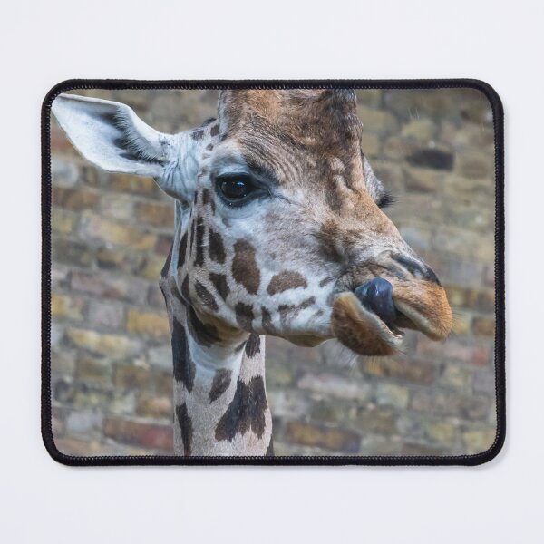 Item preview, Giraffe up close designed and sold by TDArtShop.