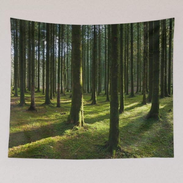 Item preview, Forest in Winter Sun designed and sold by Craig Joiner.