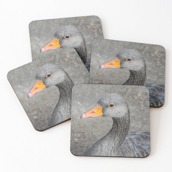 Item preview, Grey duck up close designed and sold by TDArtShop.