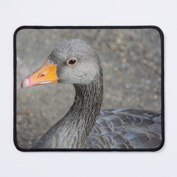Item preview, Grey duck up close designed and sold by TDArtShop.