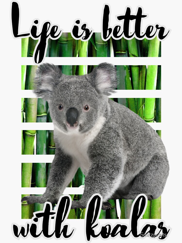 Australian Wildlife Koala Art