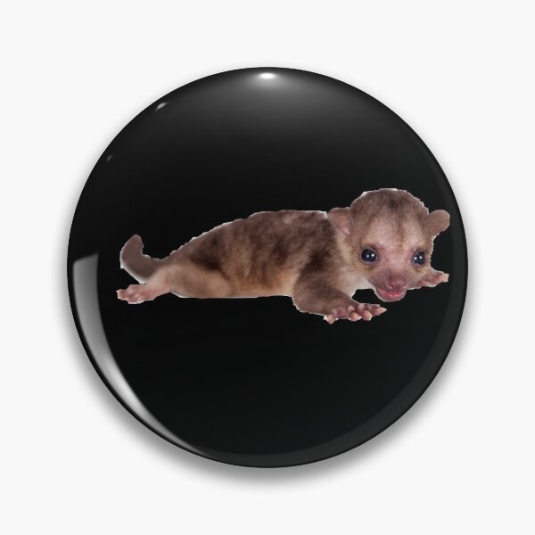Item preview, Baby Kinkajou Sleeping designed and sold by myuniquepet.