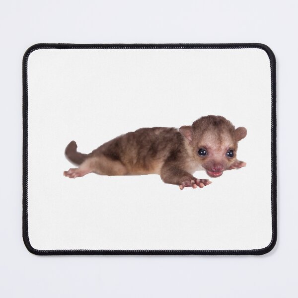 Item preview, Baby Kinkajou Sleeping designed and sold by myuniquepet.