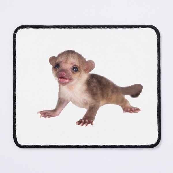 Item preview, Baby Kinkajou Playful designed and sold by myuniquepet.