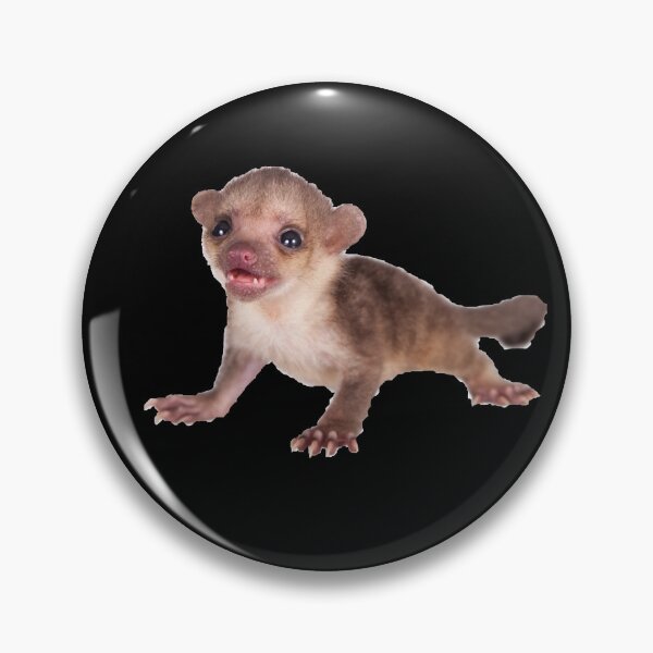 Item preview, Baby Kinkajou Playful designed and sold by myuniquepet.