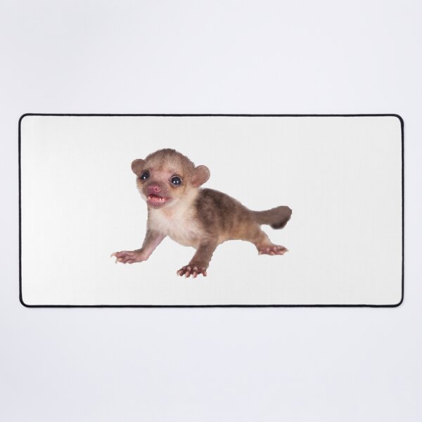 Item preview, Baby Kinkajou Playful designed and sold by myuniquepet.