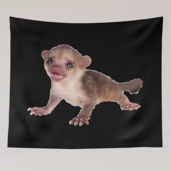 Item preview, Baby Kinkajou Playful designed and sold by myuniquepet.