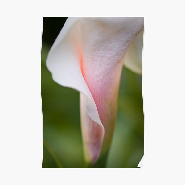Drape Poster