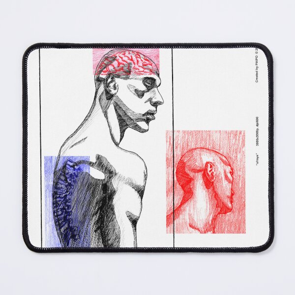 Item preview, x-rays designed and sold by PAIPO.