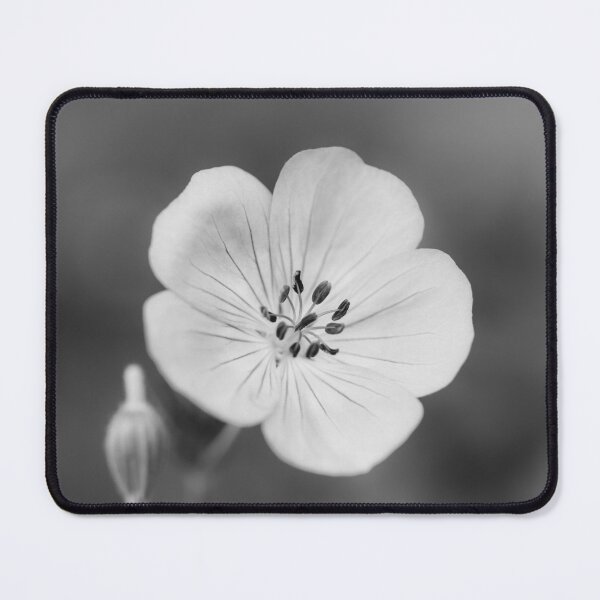 Item preview, Dainty designed and sold by Tanya C  Smith.