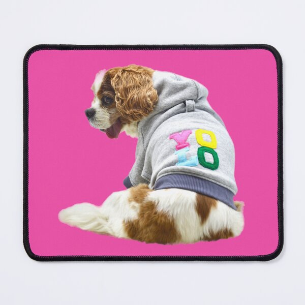 Item preview, Henry Cavalier You Only Live Once designed and sold by barksandsqueaks.