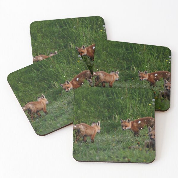 Item preview, Young foxes in a field designed and sold by Claude Laprise.