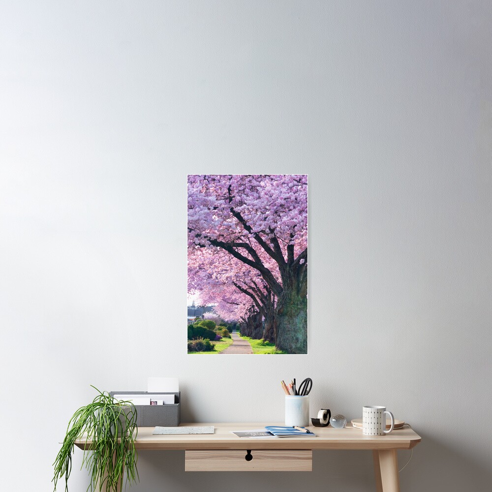 Blossoming Street Poster