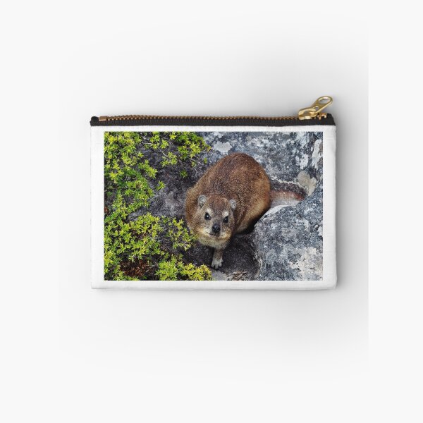 Item preview, Direct Dassie gaze designed and sold by Karen01.
