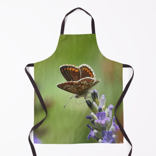 Item preview, vr 3269 / finition 2023 - 5 Papillon Okaio Créations Olavia-Olao designed and sold by o.okaïo.
