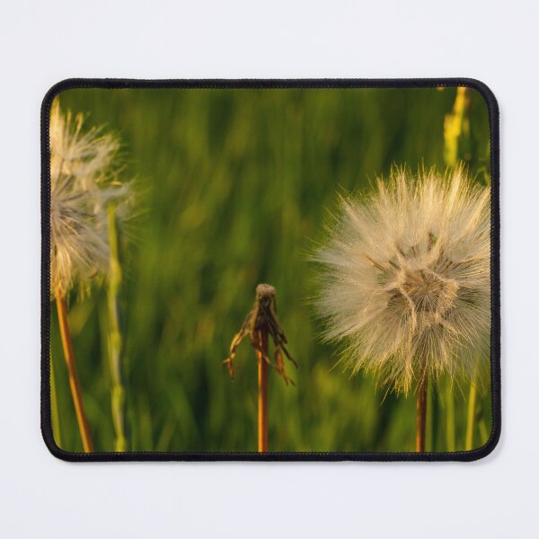 Item preview, dandelion designed and sold by Taidundua.