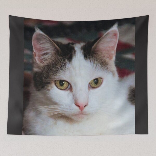 Item preview, Munchkin, Gone to Kitty Heaven Today January 30, 2018. designed and sold by heatherfriedman.