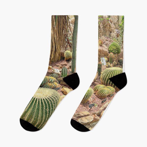 Item preview, Botanic Garden | Desert Scenery designed and sold by Hays Graphics.