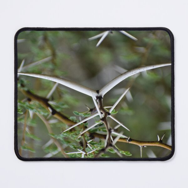 Item preview, Closeup of Thorns and its tree designed and sold by Rav33822.