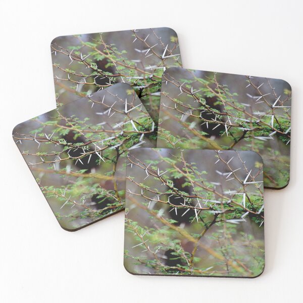 Item preview, Closeup of Thorns and its tree designed and sold by Rav33822.