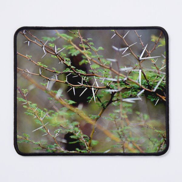 Item preview, Closeup of Thorns and its tree designed and sold by Rav33822.