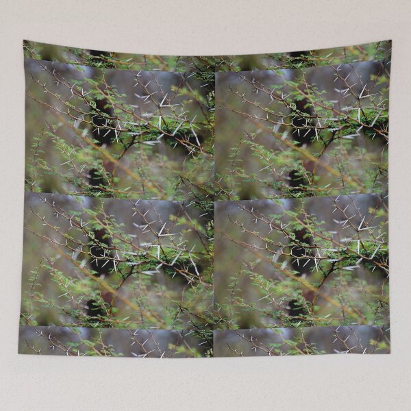 Item preview, Closeup of Thorns and its tree designed and sold by Rav33822.