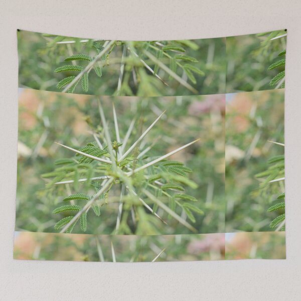 Item preview, Closeup of Thorns and its tree designed and sold by Rav33822.