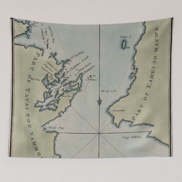 Item preview, Vintage Map of Cooks Strait New Zealand (1800) designed and sold by BravuraMedia.