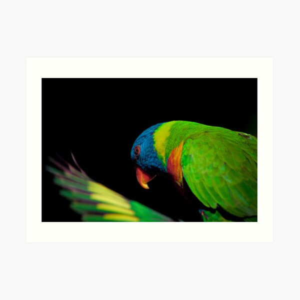 Rainbows #1 Art Print