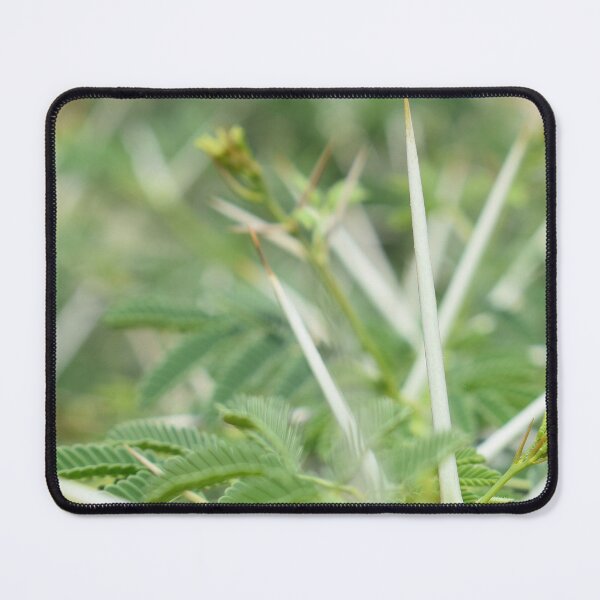 Item preview, Closeup of Thorns and its tree designed and sold by Rav33822.