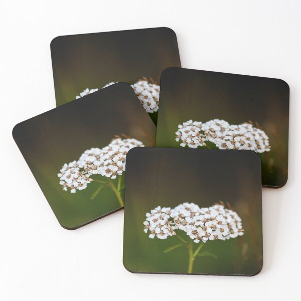 Item preview, Yarrow designed and sold by NunoPires.