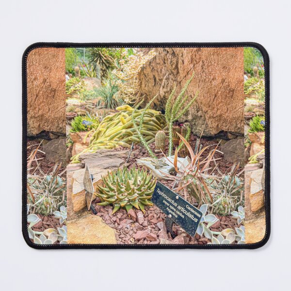 Item preview, Botanic Garden | Desert Scenery designed and sold by Hays Graphics.