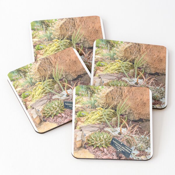 Item preview, Botanic Garden | Desert Scenery designed and sold by Hays Graphics.