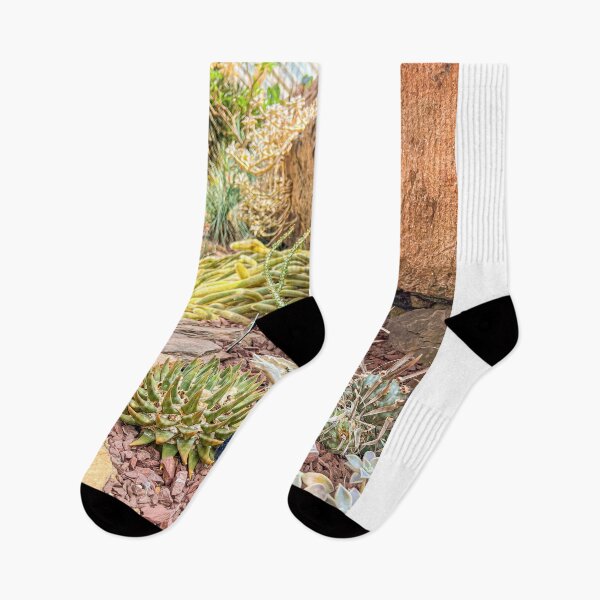Item preview, Botanic Garden | Desert Scenery designed and sold by Hays Graphics.
