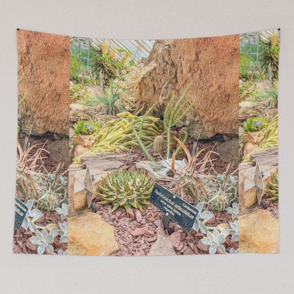 Item preview, Botanic Garden | Desert Scenery designed and sold by Hays Graphics.