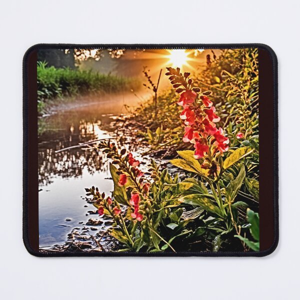 Item preview, Snapdragons at Dawn designed and sold by JGHercules1111.