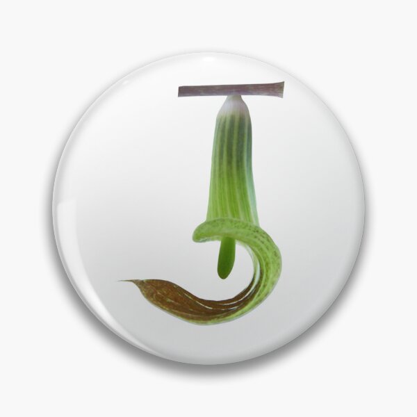 Item preview, Jack-in-the-puplit, Letter J monogram with nature and plants Arisaema triphyllum designed and sold by EveryDayDabble.