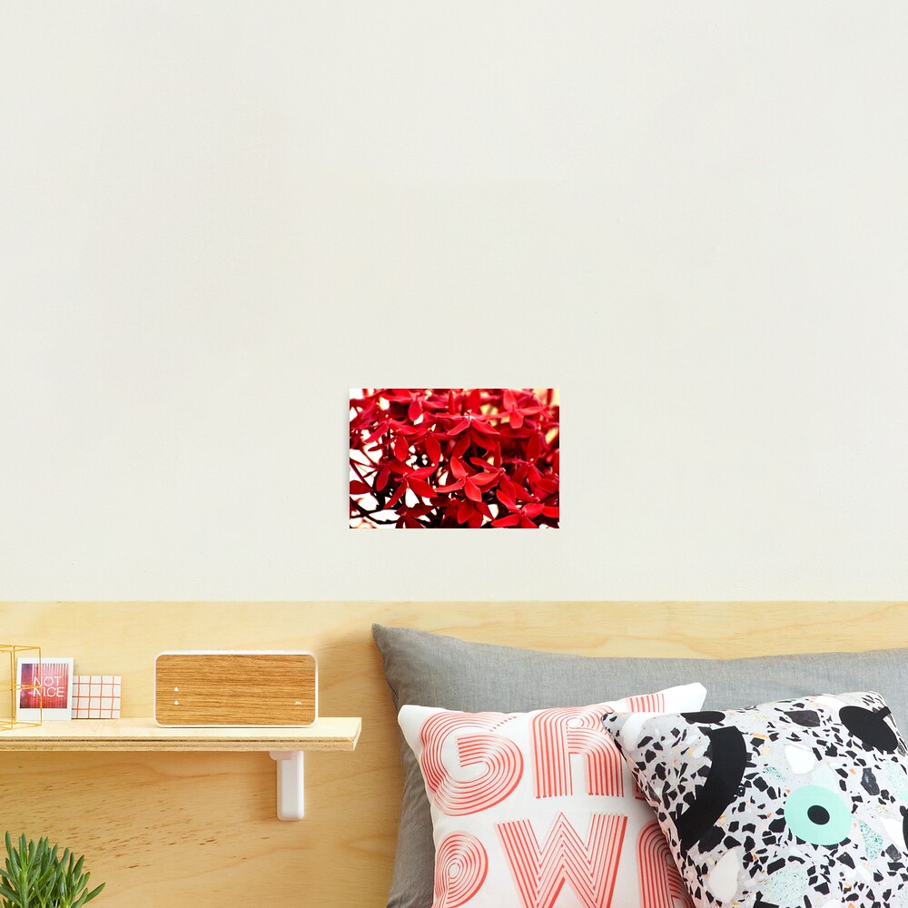 Item preview, Photographic Print designed and sold by Rav33822.