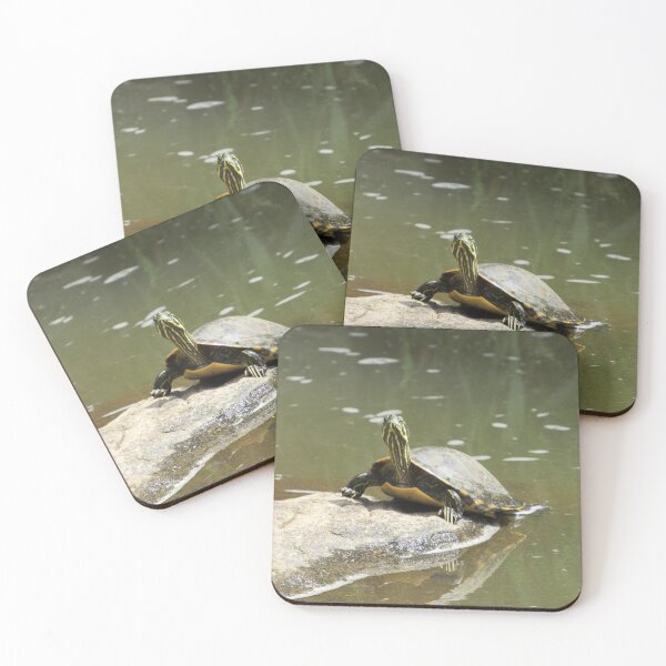 Item preview, Yellow Bellied Slider at Yates Mill designed and sold by YatesMillStore.