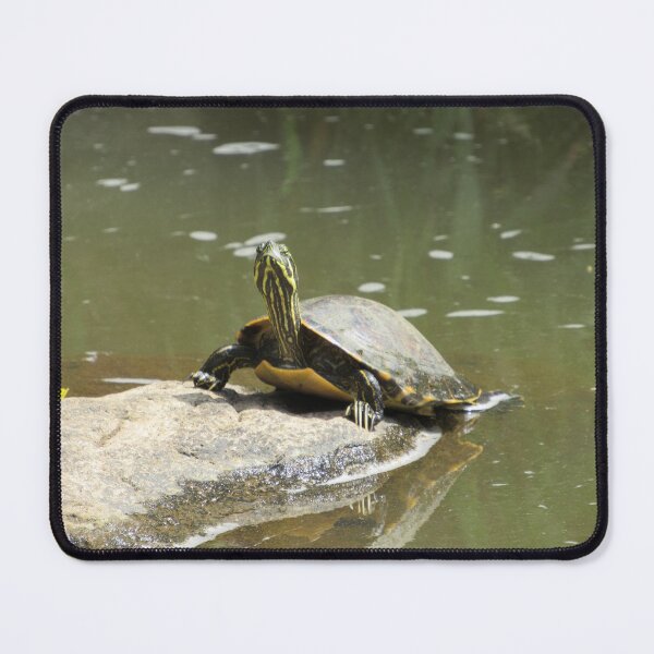Item preview, Yellow Bellied Slider at Yates Mill designed and sold by YatesMillStore.