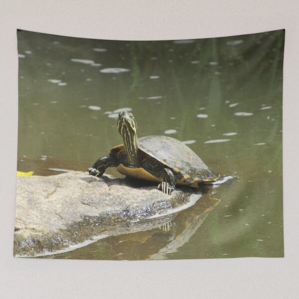 Item preview, Yellow Bellied Slider at Yates Mill designed and sold by YatesMillStore.
