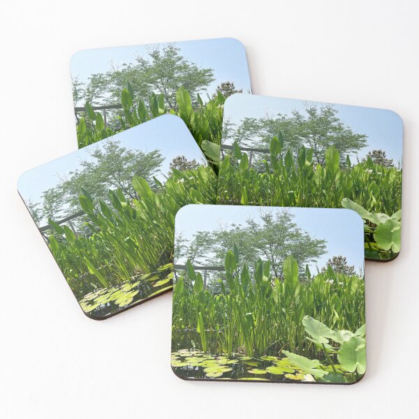 Item preview, Copy of Botanic Garden | Pond Scenery designed and sold by Hays Graphics.