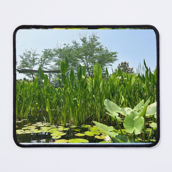Item preview, Copy of Botanic Garden | Pond Scenery designed and sold by Hays Graphics.
