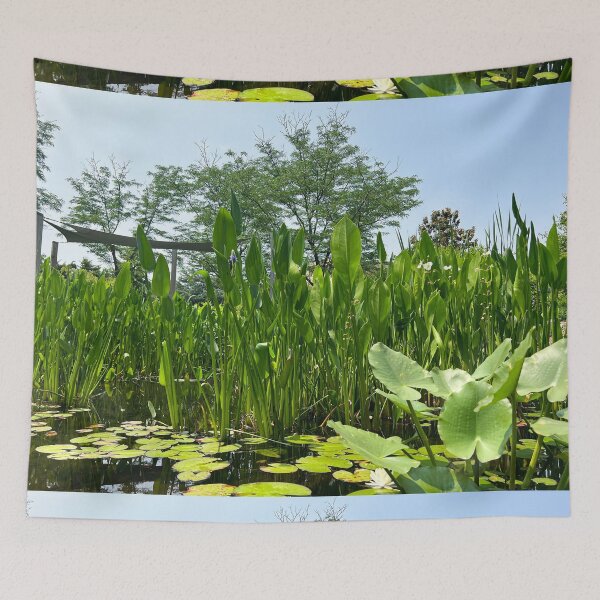 Item preview, Copy of Botanic Garden | Pond Scenery designed and sold by Hays Graphics.