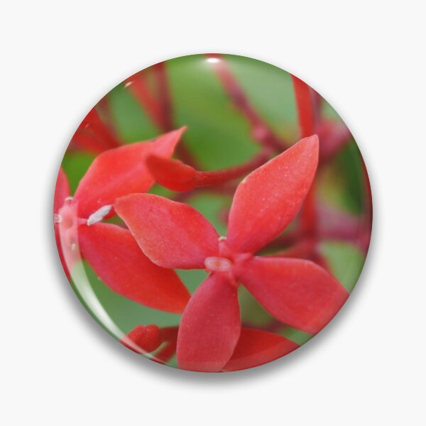 Item preview, Red Flowers designed and sold by Rav33822.