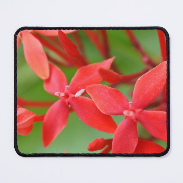 Item preview, Red Flowers designed and sold by Rav33822.